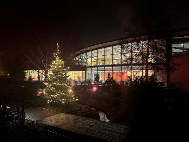 Teilansicht nachts auf das Hallenbad-Gebäude mit Weihnachtsbaum